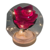 Rosa preservada fucsia en capsula - Imagen 3