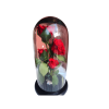 5 rosas preservadas en capsula de vidrio - Imagen 4