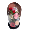 4 Rosas preservadas en tonos rosa en capsula - Imagen 2