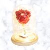 Rosa Natural Preservada en capsula de cristal - Imagen 3