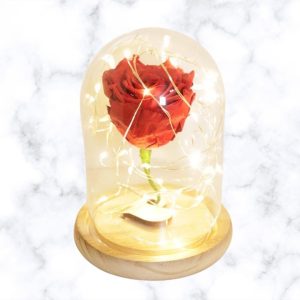 Rosa Natural Preservada en capsula de cristal