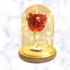 Rosa Natural Preservada en capsula de cristal - Imagen 2