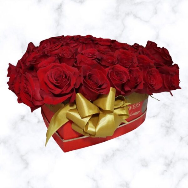 Box Platinium - Imagen 6