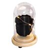 Capsula con Rosa negra natural preservada con luces led - Imagen 5