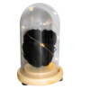 Capsula con Rosa negra natural preservada con luces led - Imagen 3
