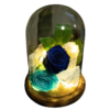 Capsula con 3 Rosas blanca azul calipso naturales preservadas - Imagen 3