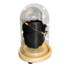 Capsula con Rosa negra natural preservada con luces led - Imagen 2