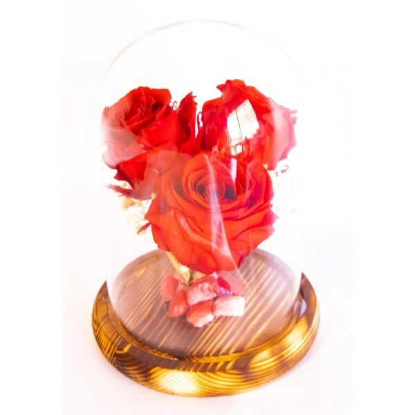 Capsula con 3 Rosas rojas naturales preservadas - Imagen 4