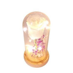 Capsula grande con Rosa blanca natural preservada con luces led