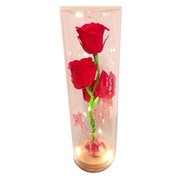 Capsula con 4 Rosas rojas naturales preservadas