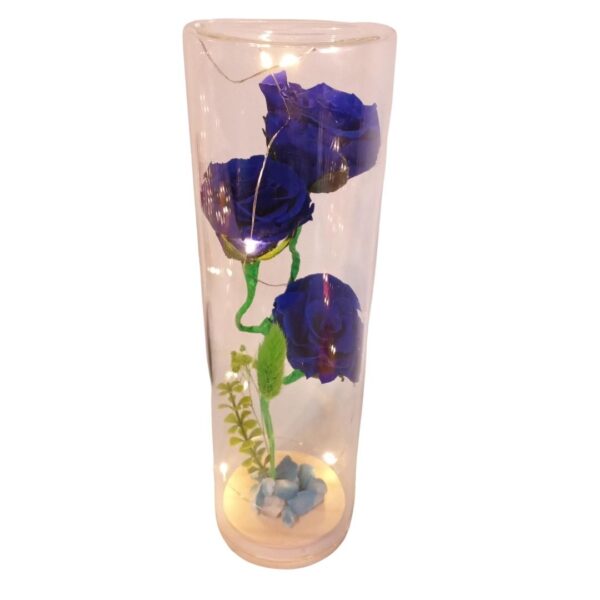 Capsula con 3 Rosas azules naturales preservadas - Imagen 2