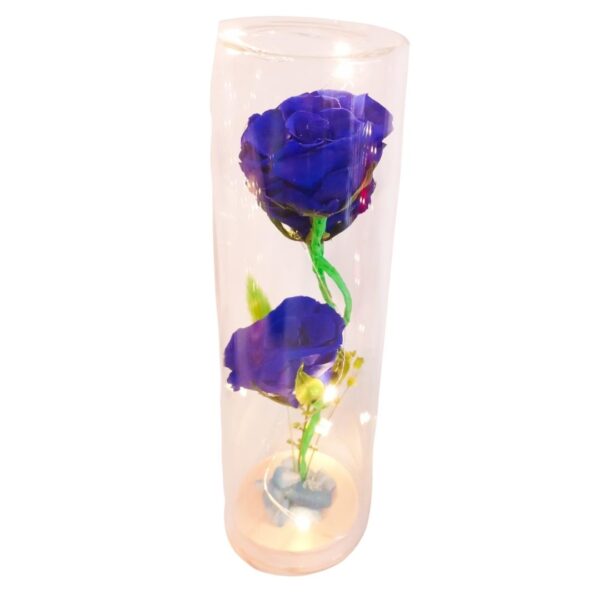 Capsula con 3 Rosas azules naturales preservadas - Imagen 3