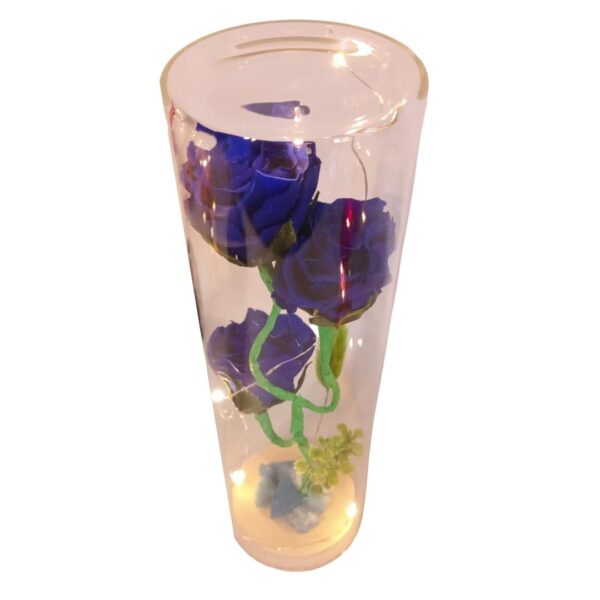 Capsula con 3 Rosas azules naturales preservadas - Imagen 4