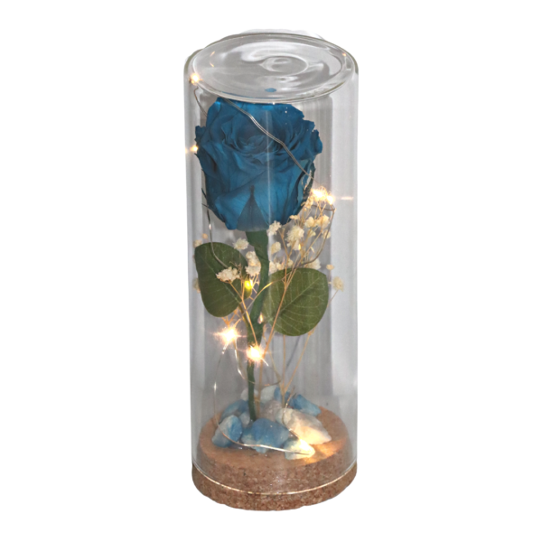 Capsula grande con Rosa turquesa natural preservada con luces led