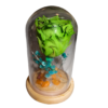 Capsula con Rosa Verde natural preservada - Imagen 6