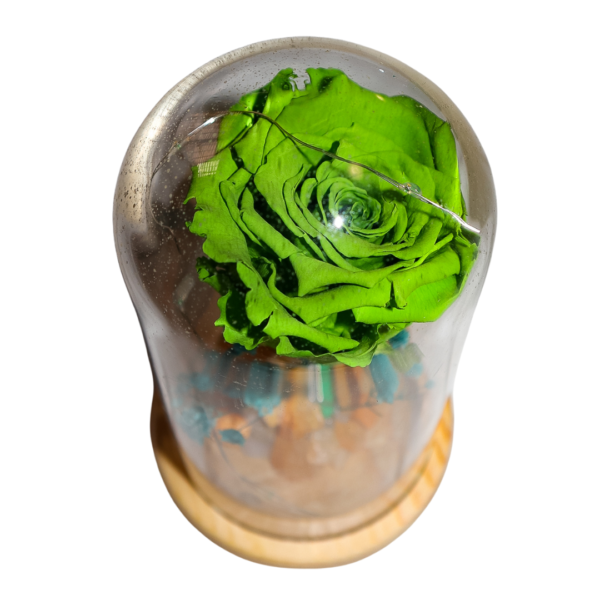 Capsula con Rosa Verde natural preservada - Imagen 2