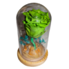 Capsula con Rosa Verde natural preservada - Imagen 3