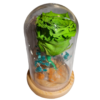 Capsula con Rosa Verde natural preservada - Imagen 4