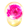 Capsula Rosa Natural Fucsia Preservada con luces led - Imagen 4