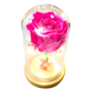 Capsula Rosa Natural Fucsia Preservada con luces led