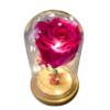 Capsula Rosa Natural Fucsia Preservada con luces led - Imagen 8