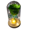 Capsula con Rosa Verde natural preservada - Imagen 5