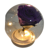 Rosa preservada morada en capsula - Imagen 3