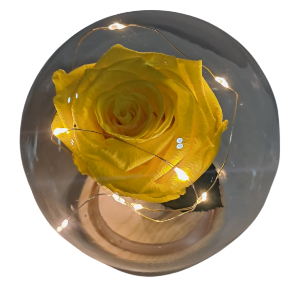 Rosa preservada amarilla en capsula - Imagen 2