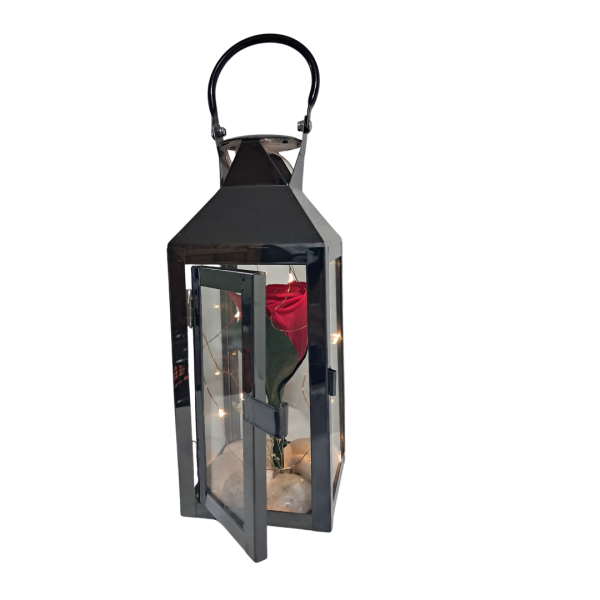 Rosa preservada en farol con luces - Imagen 5