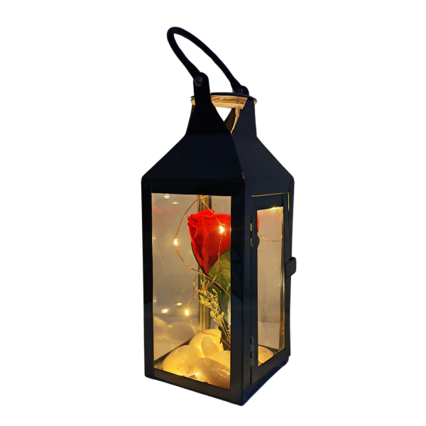 Rosa preservada en farol con luces - Imagen 3